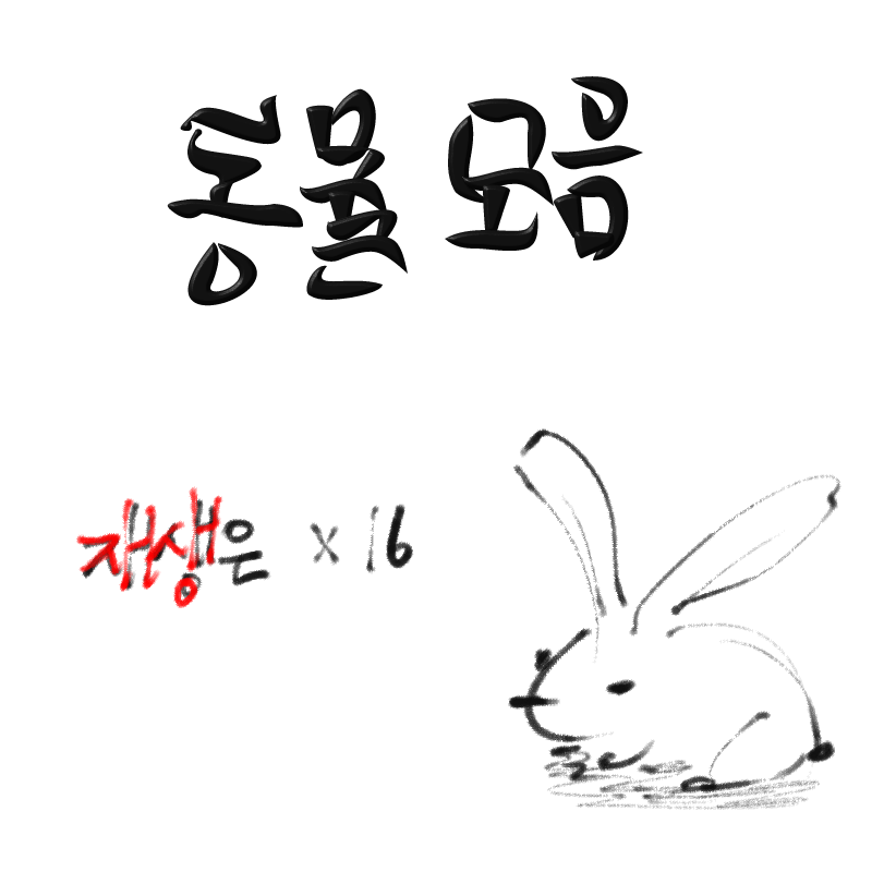 애니멀 그.. : 애니멀 그리긔 스케치판 ,sketchpan