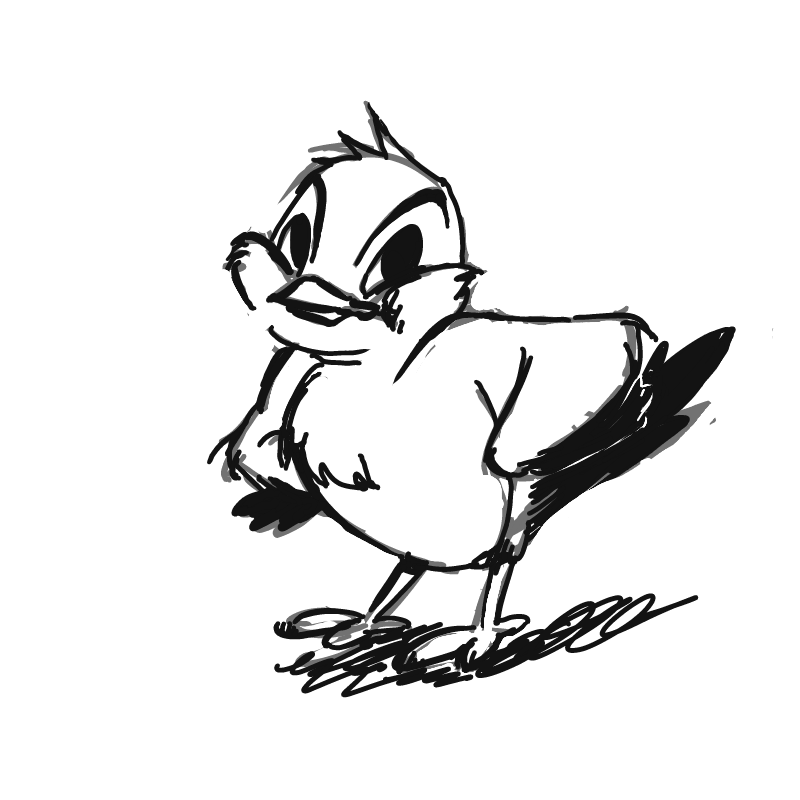 bird : bird 스케치판 ,sketchpan