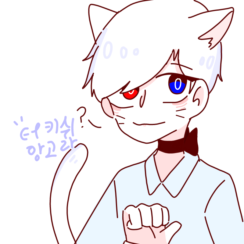 모모보고 .. : 모모보고 한번해보기
터키쉬앙고라(?) 스케치판 ,sketchpan