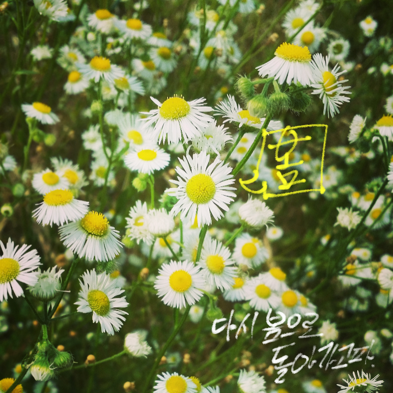 봄날~ 요새.. : 봄날~ 요새 날씨 너무해요 스케치판 ,sketchpan