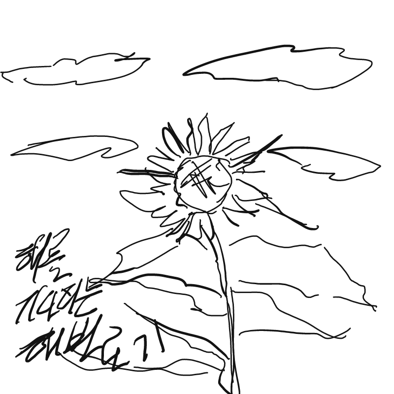 해바라기 : 해바라기 스케치판 ,sketchpan