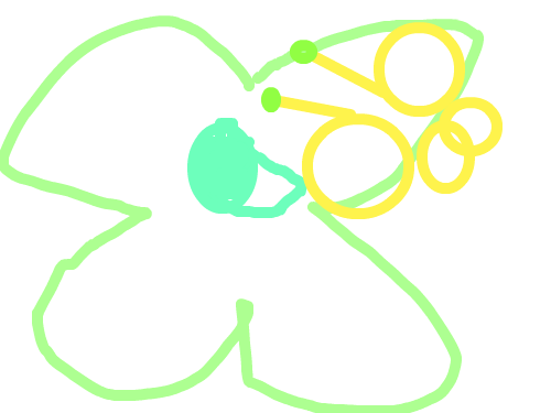 나비 : 나비가나는것 스케치판 ,sketchpan